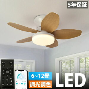 �y2025�V�o��z�V�[�����O�t�@�����C�g ������� 5�H�� ��@ �k�� ���t��] �t�@�� �V�[�����O�t�@�� 8�� 10�� 12�� �����R���t�� DC���[�^�[ LED�V�[�����O���C�g �Ɩ���� �V��Ɩ� �É� �^