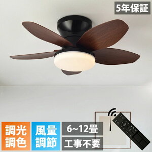 y5Nۏ؁z V[Ot@Cg  5H @ k t] t@ V[Ot@ 8 10 12 V䃉Cg@ Vt@Cg Rt DC[^[ LEDV[O