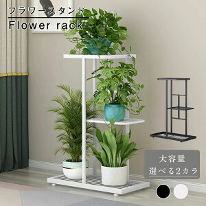 �t�����[�X�^���h �K�[�f�j���O �K�[�f�� ���b�N �ԑ� �Ԓu�� �A���I �ԑ� ���u�� �A�ؔ� ���� �V���v�� ������� �y�� �I ����I