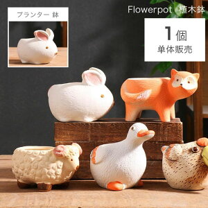 �A�ؔ� ��̓� �K�[�f�j���O�I�u�W�F �K�[�f���f�R���[�V���� �����A���p������ ���A�� �K�[�f�j���O�I�u�W�F ���A�� ���������A���p�� �v���[���g�p���j�[�N�ȐA�ؔ� ��������