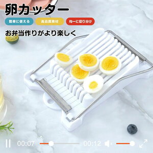 �� �X���C�T�[ �����`�����~�[�g�X���C�T�[ �ʕ��J�b�^�[ �`�[�Y�X���C�T�[ �ʎq�؂� �t���[�c�J�b�^�[ �T���_�c�[�� ABS �X�e�����X�� �؂ꖡ �ȒP�֗� ���@�\ �L�b�`���p�� �ƒ�p �Ɩ��p 