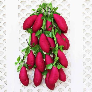 HiTv Tc}C ݂邵 tFCN { A CeA fBXvC Be Xg ct 