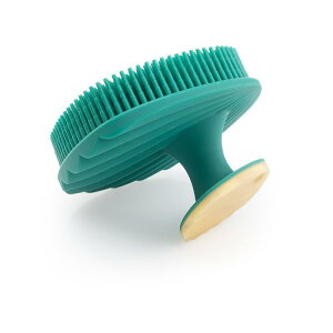 {fBuV l q p VR VF^ XJvPA }bT[W  Vv[p \tgf pi IW zCg O[ O[