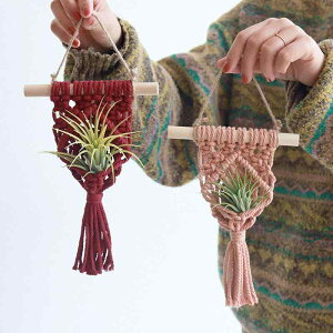 vgnK[ k {w~A }N D ȃ[v GAvc ϗtA A ^A ݂艺 Ǌ| EH[fR[V CeAG rO   