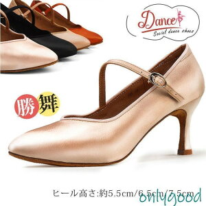 _X _V[Y fB[X 3TYPE X^_[h Ќ_X V[Y q[ Zp  ߑ C ɂ K 