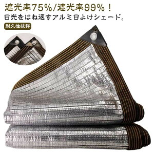 悯VF[h VF[h v ډB TVF[h O΍ Ռlbg x_ MǑ΍ UVJbg  A~ 悯XN[ O 悯 O I[jO g ȃGl