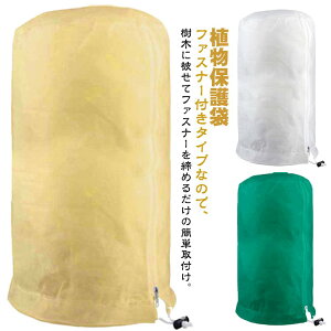 A t@Xi[ h~ hJo[ sDz یJo[ h ۉ h h ʋC Q A AJo[ Wbp[t ߈Rt v^[Jo[ Aی ėp\