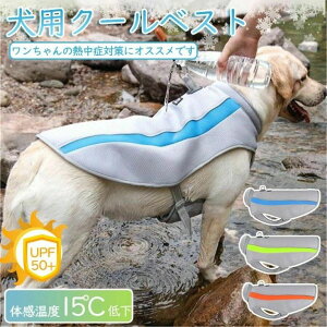 ObY Ђ N[xXg G炷 N[   N[EFA  ^ ^ N[ ėp 