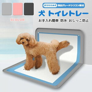  gCg[ Ch L^ p  グ ܂肽 Ǖt pgC{bNX 89X65CM OK O