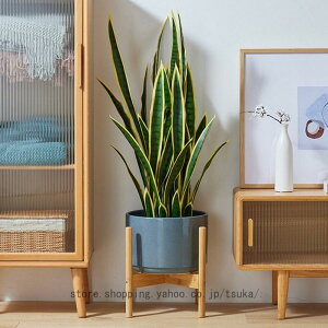 v^[X^h A ϗt A fBXvC  X^h  ؐ ACA AeB[N t[X^h ԑ VR |bg X^h 