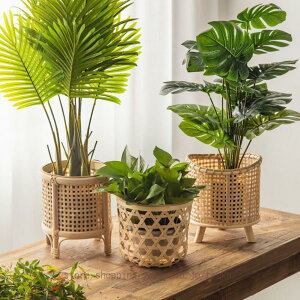 v^[oXPbg Jo[ Aؔ v^[ ^  p X^h vgJo[ v^X^h ϗtA A  oXPbg k