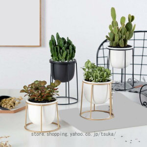 v^[X^h t[{[ t[X^h ACA  K[fjO ԑ v^[  O K[fbN V |bN