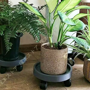 Aؔ u ϗtA  LX^[t v^[X^h ړ   360] ԗ֕t ی^ ԑ t[X^h K[fjObN x_