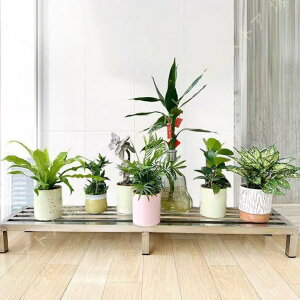 �v�����^�[�X�^���h ���O �K�[�f�����b�N �t�����[�X�^���h �X�e�����X�|�� ���u�� ���|���b�N �K�тȂ� ���^�ԑ� �Ԓu���I �A���I �~�͒I ���|���b