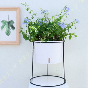 v^[ X^h |[v^[ {[v^[X^h Ƌ l炵 [ V |bg X^h t[X^h t ϗtA ACA