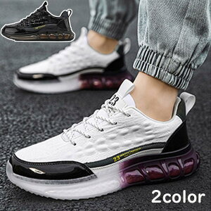 SC  Xj[J[ Y fB[X ɂ ƌC NbV  ɂ y oRC 񂺂C ݔh~