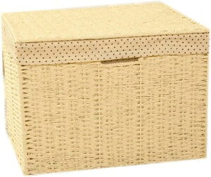 [{bNX [JS t^t Gݎ[ 31*21*15.5cm ֎[ X^C1 كoXPbg ق ^  gCbgy[p[ h[[ k  oXPbg JS