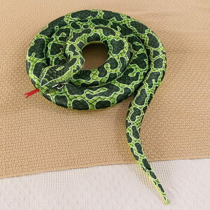 { wr ʂ ֖D AȂւтʂ  O  hbL xr[ V~[V ʔ X u _炩  VNv[g TvC