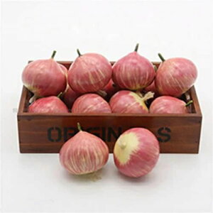 HiTv ʂ˂ Hi͌^ 10ZbgtFCNt[h ܂Ŗ{  tFCNC~e[V IuWF u  { ͌^ CeA fBXvC ܂܂ wZ s 