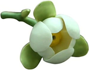 AJVẢ    u 퐻 CeA    ؓ rO  a Q ̃ybg