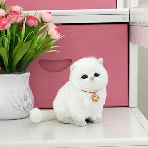 ���A���L �ʂ������ �D������� ���A������ �{���������� �V���M�[ �ё����� ���킢�� �ӂ�ӂ� �������� �X���� �����O�b�Y �ʔ��� �G���G�� �f�X�N�� ���炩 �v���[���g �M�t�g 20x15x