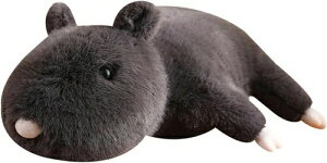 lY~ ʂ QNbV   킢 p l tt INS ߋ \t@[ {fB XgX 􂦂 qǂ ̎q j̎q  ܎O w V