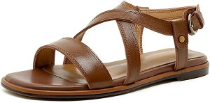 T_ fB[X `J v NXxg OfBG[^[ tbg؂ Xgbv C r 1.5cm q[ RtH[gJWA {v q U[ V[gu[c JWA