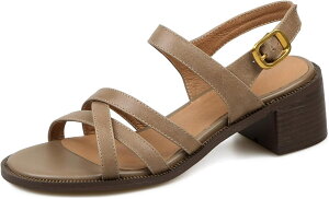 T_ fB[X `J rv ANXgbv NXxg`L[q[ OfBG[^[EhgD RtH[g V[Y vC {v U[ wlC V[gu[c JW