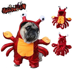 �n���E�B�� �R�X�v���ߑ� �y�b�g �񑫕��s �J�j ���� �ʔ��� �R�X�`���[�� �J�j�̕� �I ���� �L�� �R�X�v�� �y�b�g�R�X�v�� �L ���^���p �ϐg�O�b�Y �y�b�g�� �n���E�B������ �y�b�g �ϐg ��