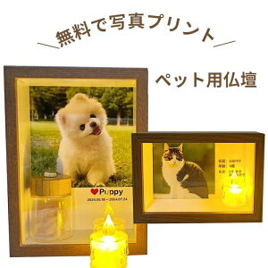 �y�b�g ���d �ʐ^���� �y�b�g�p���d�Z�b�g ������ �┯ ��ѓ��� �I�[�_�[ ������ �ʐ^��� �y�b�g �ʔv �X�C ���V �ؒ� �� �� �������A�� ������ �ؐ� �R���p�N�g ���d �����d �}���V���� �A