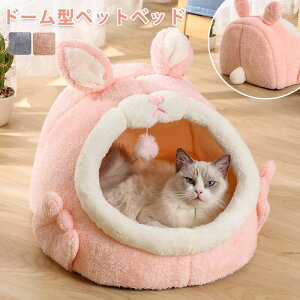 �x�b�h�x�b�h �h�[�� �x�b�h�x�b�h �~ ������ �� �L �n�E�X ������ �~ �y�b�g �x�b�h �􂦂� �L�x�b�h �e�� ���x�b�h �ӂ�ӂ� �y�b�g�n�E�X �N�b�V���� �y�b�g�\�t�@ �{�����[�� ���^�� �� 