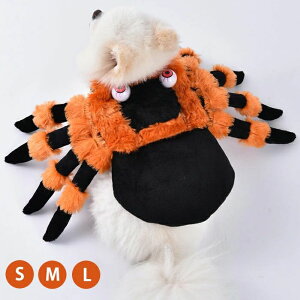 �n���E�B�� �R�X�v���ߑ� �y�b�g �w� ���� �R�X�`���[�� �N�� ���w� ���� �L�� �R�X�v�� �����̃R�X�`���[�� �y�b�g�R�X�v�� �n���E�B�� �L ���^���p �ϐg�O�b�Y �R�X�`���[�� �y�b�g�� �n