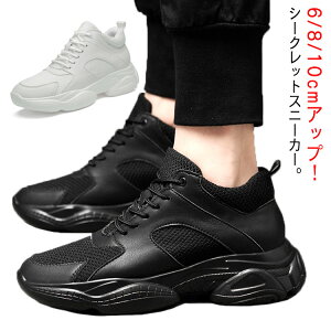 �X�j�[�J�[ �V�[�N���b�g�X�j�[�J�[ �����Y �g���A�b�v 6/8/10cm�A�b�v �X�j�[�J�[ ���f�B�[�X �w�������Ȃ�C �V�[�N���b�g�V���[�Y �V���[�Y �C���q�[���X�j�[�J�[