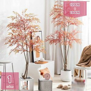 1000�~OFF�N�[�|�� �l�H�ϗt�A�� ��^ �l�H�ϗt�� �V�~�����[�V�����c���[ ���� ���O �z�[�� �I�t�B�X �K�[�f�� �g���s�J���A�� ���� �Ƃ̌��� ���r���O���[�� �Q�� �o���R�j�[�̑��� ���� �e