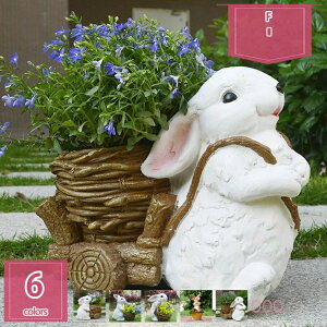 777~OFFN[| ObY ^Aؔ ϗtAAؔ K[fI[ig T{e T{e|bg uK[fIuWF ANZT[ K[fIuWF K[f|bg ̂Ђ