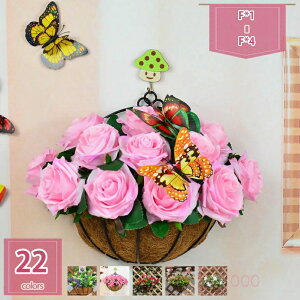 500~OFFN[| Ǌ|  ͂Ȃ 邢F tFCNO[ lHϗtA  rO _CjO CeA t[ EH[O[ v[g Mtg A[eBt