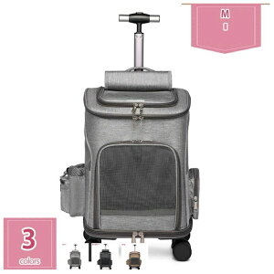 1000~OFFN[| ybgL[P[X LX^[t L ^ Lp L[ J[g  ^ L[P[X ybgL[ \tgN[g 傫 ybgL[obO oob