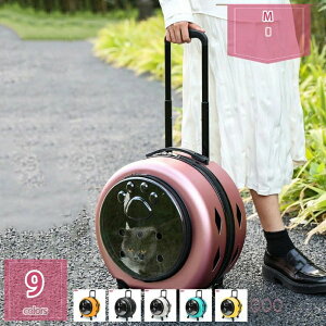 1000�~OFF�N�[�|�� �y�b�g�L�����[ �L���X�^�[�t�� �L�p �L�����[ �J�[�g �� ���^�� �y�b�g �L�����[�o�b�O �n�[�h �L�����[�P�[�X 2way ��e�� �ʋC�� ���o���� ���s �A�� �ʉ@ �d�� ���킢�� 