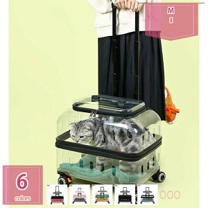 1000~OFFN[| L L[ LX^[t ^  L[ J[g ybgL[P[X LX^[t e oybgobO ʋC  pL[obO Lp 