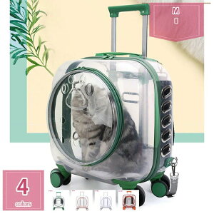 2000�~OFF�N�[�|�� �y�b�g �L�����[�o�b�O �L���X�^�[�t�� �ʋC�� �y�b�g�J�[�g 2way �L �� �����b�N �J�[�g �y�b�g�o�b�O �L�����[�J�[�g �� �L �y�b�g�L�����[ ��� ���� ���^�� ���^�� �L�p