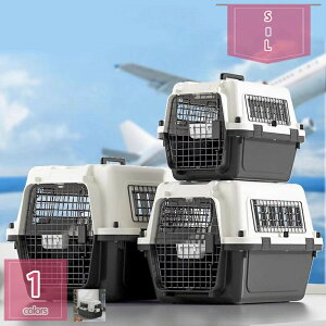 1000�~OFF�N�[�|�� 2�� ���L���p�L�����[ �y�b�g�P���l�� �y�b�g�Q�[�W �P�[�W �n�[�h�L�����[ �����t�� �����p�n�E�X ���^�� �L �y�b�g �ړ� �O�o ���s �h�� �O�b�Y �n�E�X �L�����s���O�L