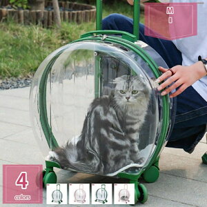 1000�~OFF�N�[�|�� ���ł����y�b�g �L�����[�o�b�O �L���X�^�[�t�� ���� �y�b�g�J�[�g �L �� �o�b�O �J�[�g ������� ��e�� �y�b�g�o�b�O �L�����[ �L�����[�J�[�g �g�т₷�� ���^�� �L �L��