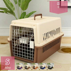 777�~OFF�N�[�|�� 2�� ���p�n�[�h�N���[�g �y�b�g�P���l�� �� �L�����[ �L �L�����[ �y�b�g�L�����[ �Q�[�W �����t�� �����p�n�E�X �� �L ������ �N���[�g ���o���� ���s ���^�� �q��A����