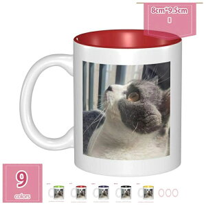 }OJbv k  IWifUC 킢 pI Ԃy Mtg v[g  j  }OJbv eB[Jbv  j  ʐ^vg 2