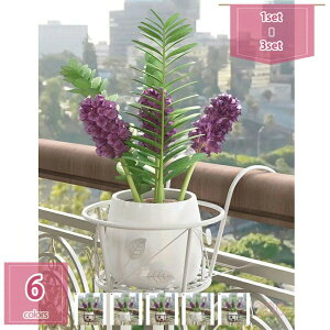 SAnK[ nMOt[oXPbg lWtt[oXPbgEH[tbN ̂Ȃ̋̃EH[t[ ̉a t[X^h ^ Ch`C