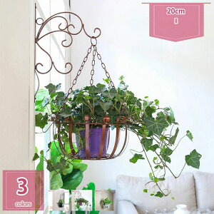 �t�A���� �n���M���O �݂蔫 �݂艺���� �v���X�`�b�N �Ԃ牺���A�ؔ� �n���M���O�v�����^�[ �n���M���O�o�X�P�b�g ������� ���� ���O �C���e���A �� holosbird-goods1