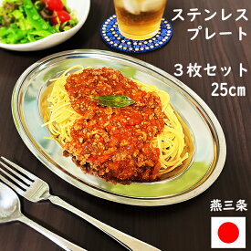 抽選で100％ポイントバック 燕三条 ステンレス 皿 10吋 日本製 プレート 料理 盛り付け パスタ 餃子 業務用 高級感 レトロ ランチ 小判皿 食器 おしゃれ カレー オムライス カフェ 薄い 平皿 中皿 25cm 洋食 喫茶店 ワンプレート 一人用 ステンレス皿 カレー皿