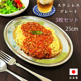 【3枚セット】ステンレス プレート 10吋 日本製 燕三条 料理 洋食 パスタ 餃子 喫茶 業務用 レトロ ランチ ディナー 小判皿 食器 おしゃれ お皿 カレー 薄い 平皿 中皿 25cm 洋食 皿 母の日 ワンプレート