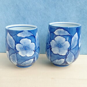 Lcā@ۃRbv@t꒿ԁiEj