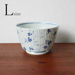 gā@C[W[@u[AxXNؒ@LTCY